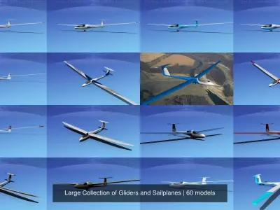 Large Collection of 60 Gliders and Sailplanes 3D Model Pack