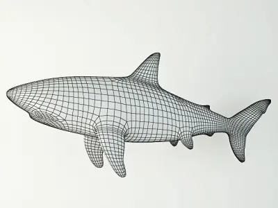 Shark Sculpture in Bronze Finish 3D model