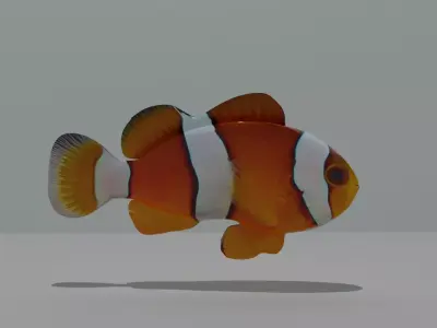 CLOWN FISH  3D model