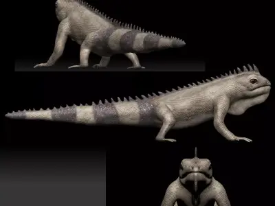 Iguana Lizard Low-poly 3D model
