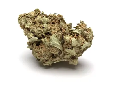 Cannabis Bud 01 3D model