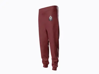 Sweatpants Low-poly 3D model
