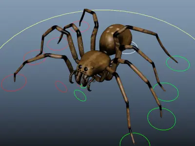 Spider Rig  Low-poly 3D model