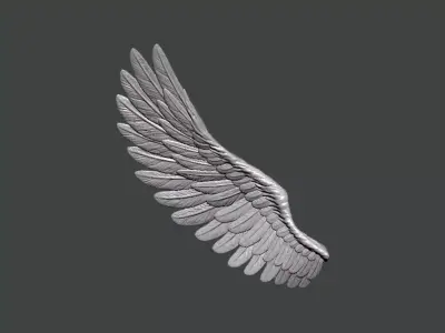 3D Model-WING0008 angel wing 3D print model
