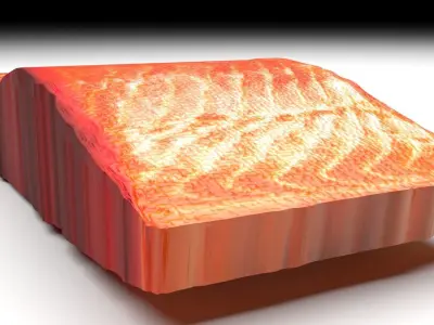 Sliced Salmon Fillet 3D model