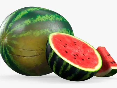 Fresh Watermelon with Half and Cut Slice 3D model