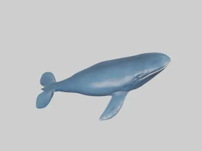 Blue Whale statue model Low-poly 3D model
