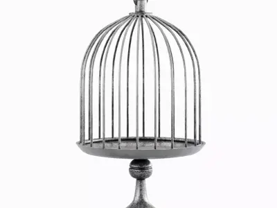 Metal Birdcage Pack