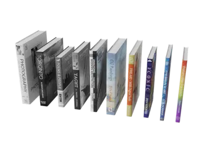  Ten Artistic Book Models 