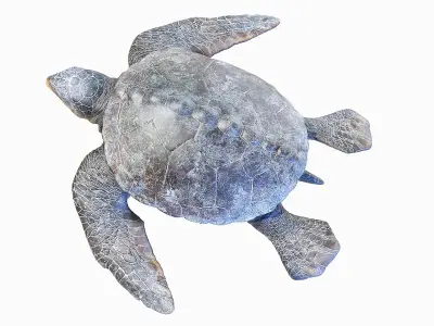 Archelon Static 3D model