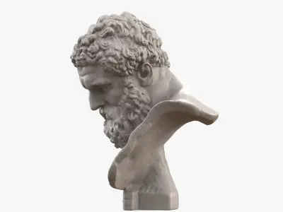Hercules Farnese Bust 3D model