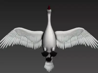 Swan Goose Low-poly 3D model