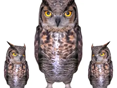 Horned owl Low-poly 3D model