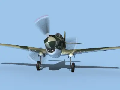 Curtiss P-40F Warhawk USAAF Texas Tom 3D model