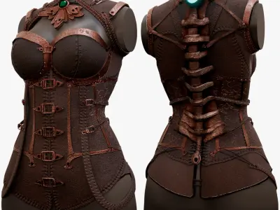  Stylized Steampunk Corset 
