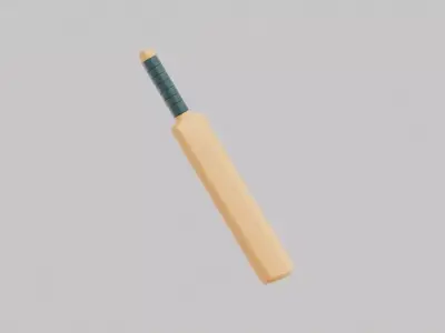 Cricket Bat Low-poly 3D model order