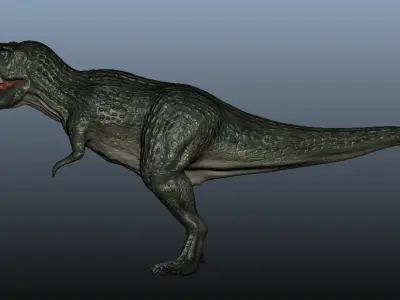 Tyrannosaurus Rex 3D model 7