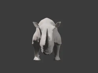 African White Rhino 3D model  3D model