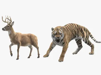 Tiger and Deer ANIMATED Collection 3D model