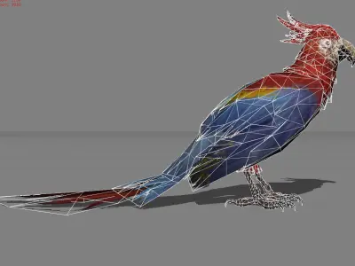 Parrot Red Bird Animal Low-poly 3D model
