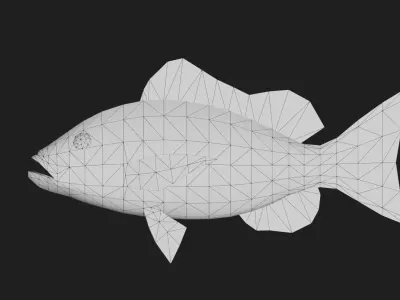 Snapper Low-poly 3D model 14