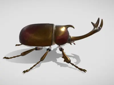 beetle 3D model get