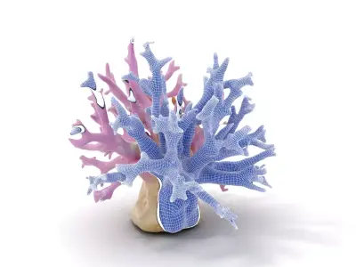 Vibrant Coral Reef model pack Low-poly 3D model