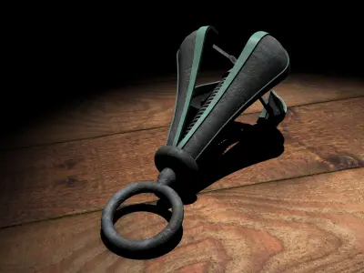 Pear of Anguish Torture Device 3D model