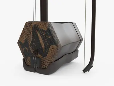  Chinese Erhu 