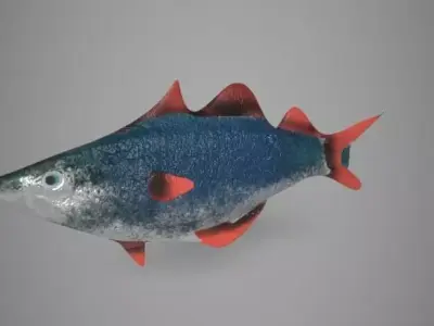 Fish Pollock 3D model