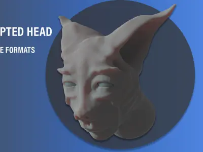 SK Head Free 3D model