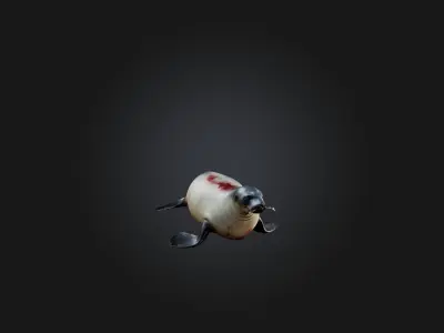 Realistic Wounded Seal Model Low-poly 3D model