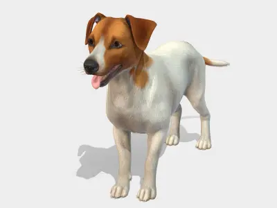 Dog - Jack Russell Terrier 3D model