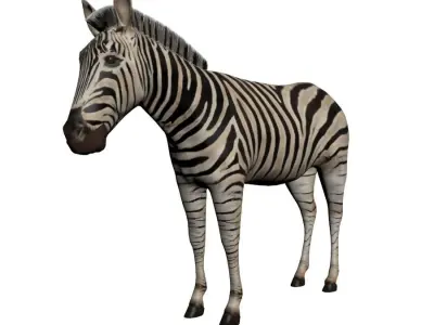 Low poly Zebra 3D model