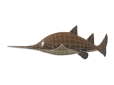 Large Tooth Saw Fish Animated Low-poly 3D model