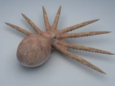 Octopus with spikes Low-poly 3D model