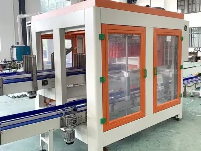 Robotic Grab Type Carton Packing Machine for Bottles and Cans 3D model