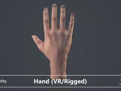 Male Hand  Low-poly 3D model