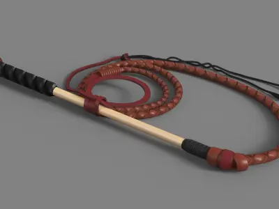 Leather Whip Coiled Brown Rigged 3D model