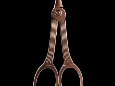 Vintage Scissors  Set of 5 3D model