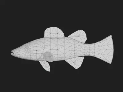 Serranidae Low-poly 3D model 2