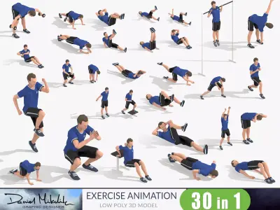 Exercise Animations Bundle Humanoid Low-poly 3D model