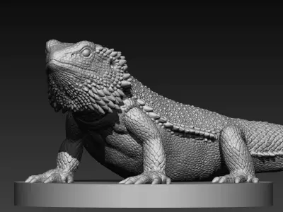 dragon lizard 3D print model