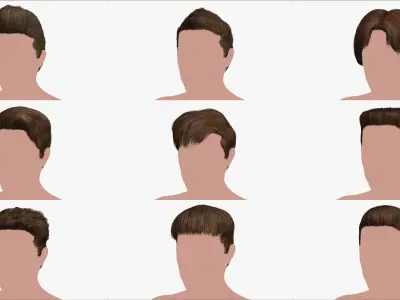 Hairstyle Collection 3 3D model