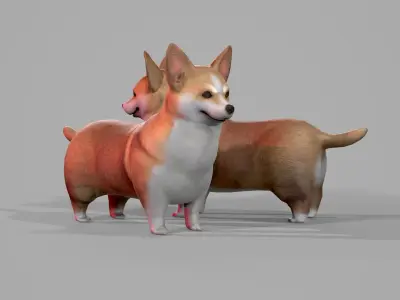 Dog Lowpoly  Low-poly 3D model