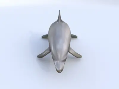 Irrawaddy Dolphin 3D model