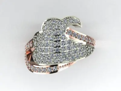 2 part ring 3D print model