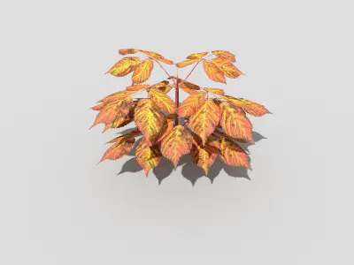 Plant with orange leaves Low-poly 3D model