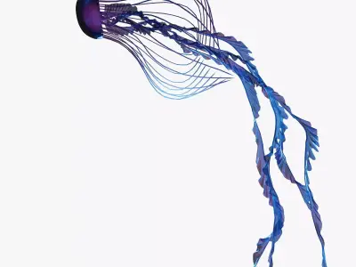 Jellyfish 3D model buy