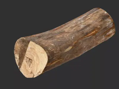 Tree trunk wood 3d scan highpoly 3D model by Shutters
